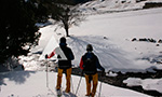 Excursions for all the family with snowshoes